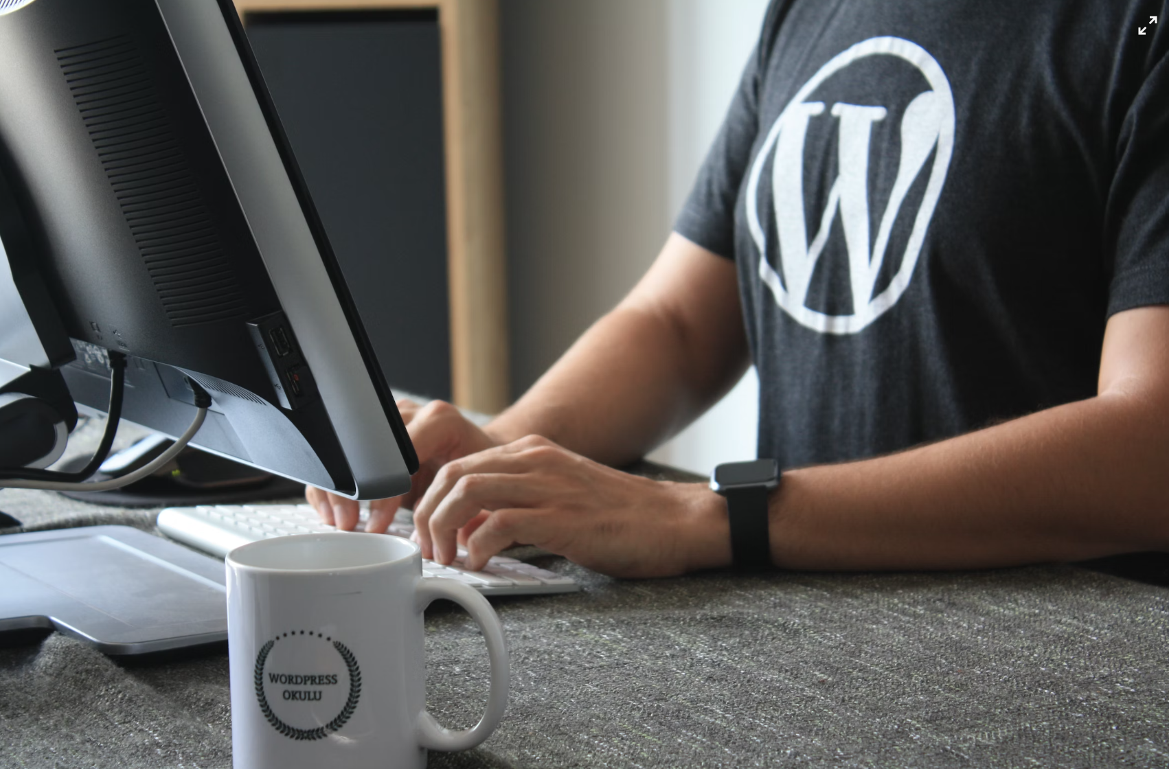 Generate Automatic Website Content with New WordPress Plugin