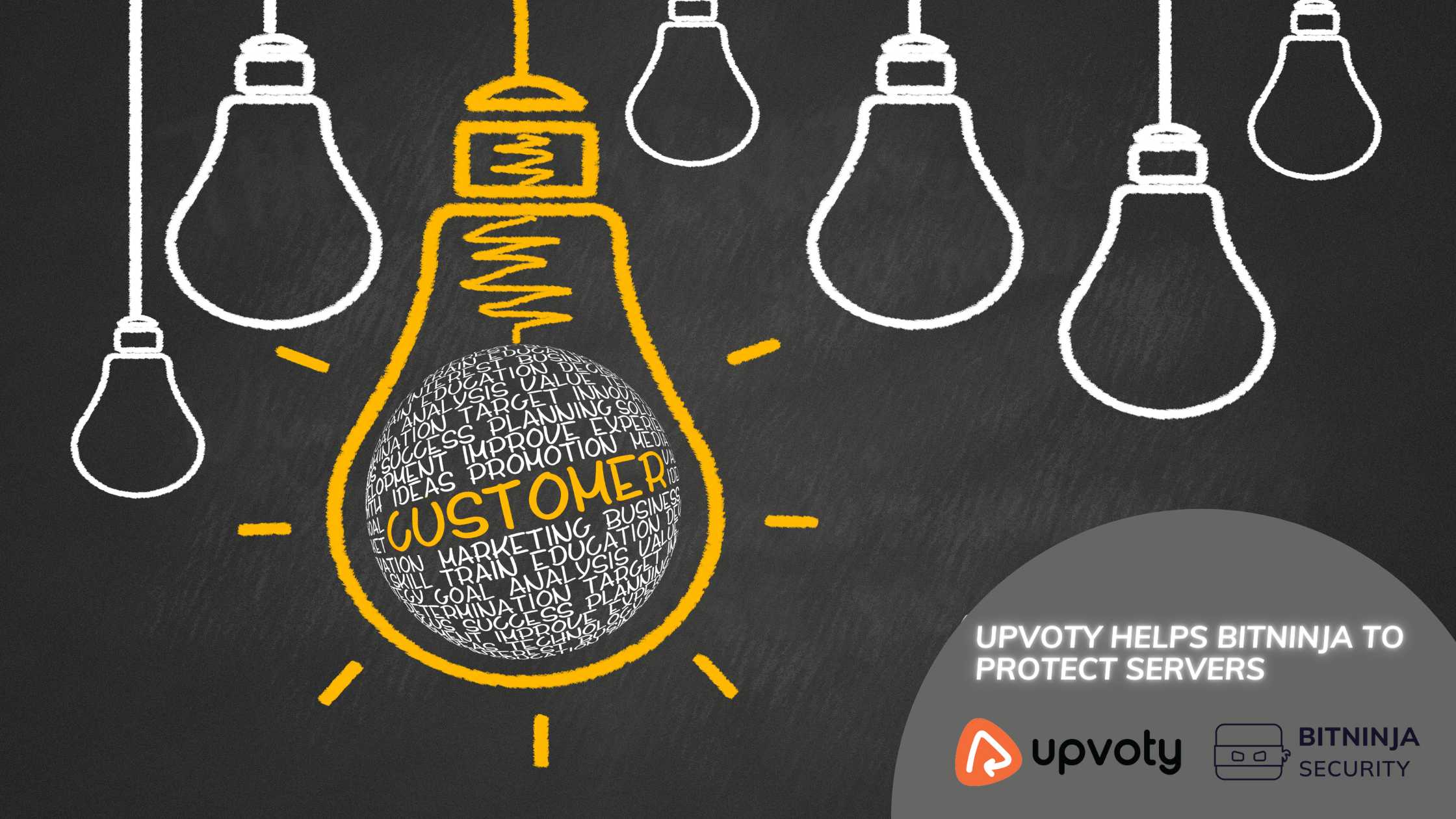 BitNinja Maximizes their Security Software's Potential with Upvoty