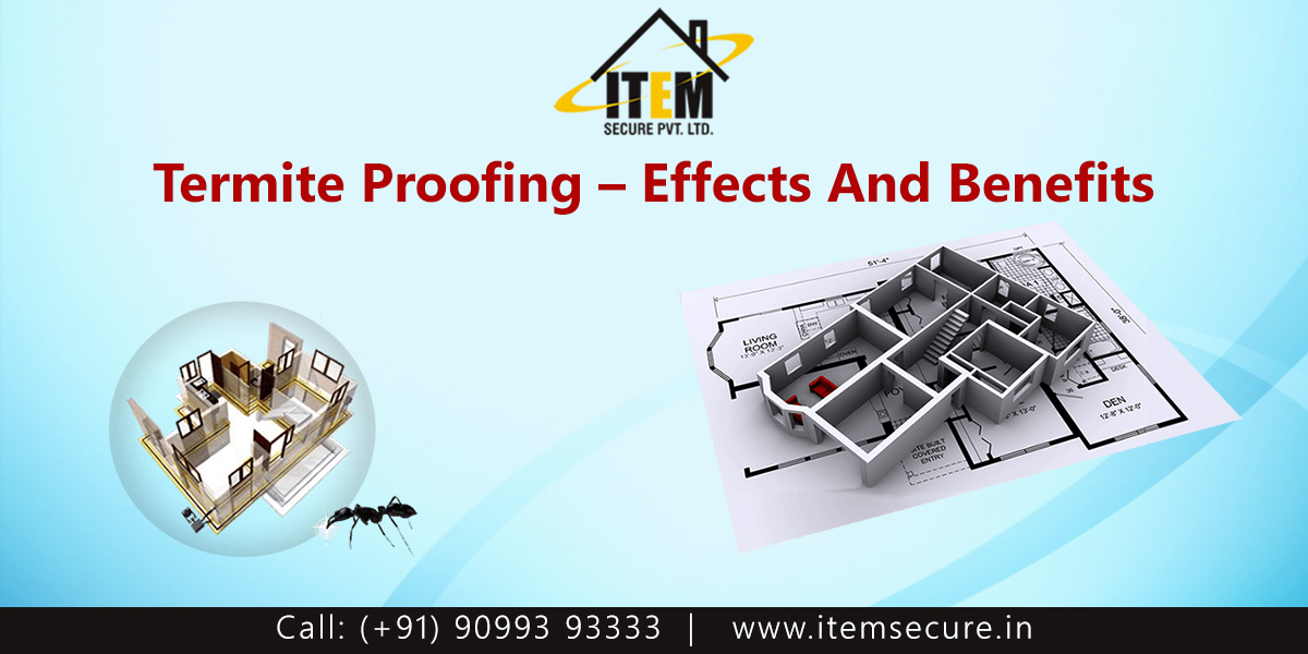 Termite Proofing – Effects And Benefits