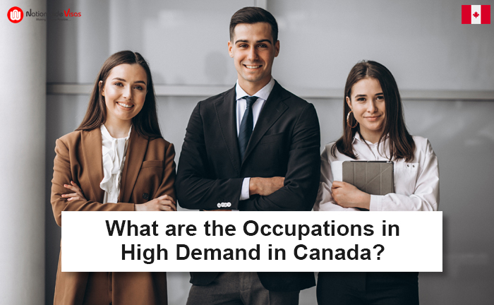 What are the Occupations in High Demand in Canada