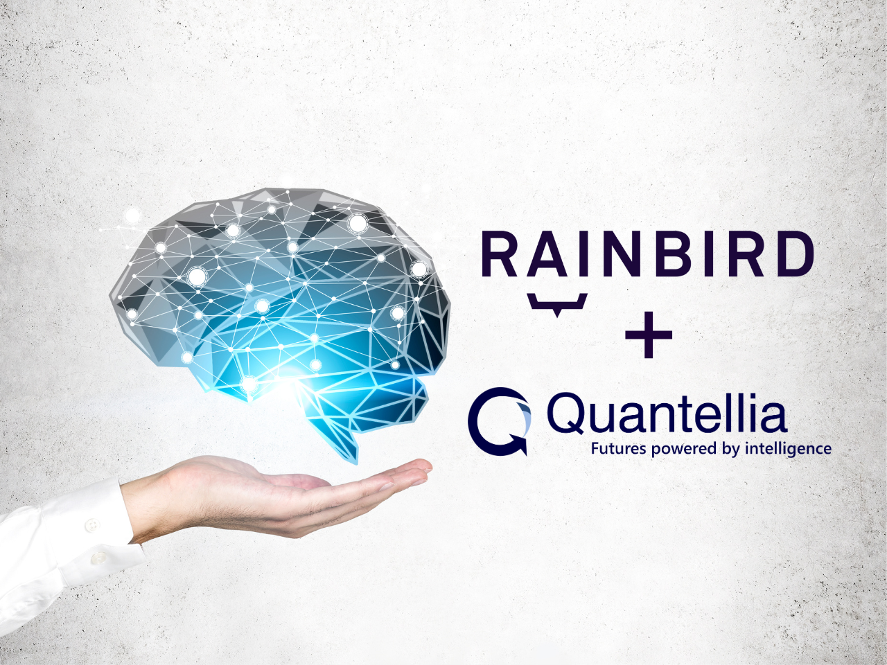 Dr Lorien Pratt, Inventor of Decision Intelligence, Joins Rainbird Technologies as Advisor in a Strategic Partnership with Quantellia